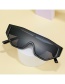 Fashion Pink Frame Gray Piece One-piece Large Frame Sunglasses