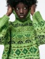 Fashion Green Geometric Jacquard Turtleneck Sweater