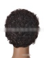 Fashion Wig-3912 Black High Temperature Silk Wool Roll Wig
