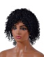 Fashion Wig-3911 Black High Temperature Silk African Curly Wig