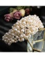 Fashion Gold Color Pearl Braided Crown