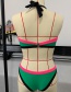 Fashion Figure 1 Color Block Halterneck Split Swimsuit