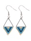 Fashion 9# Triangular Rice Bead Braided Stainless Steel Earrings