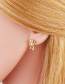 Fashion B Copper Inlaid Zirconium Bear Earrings