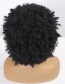 Fashion Dark Brown African Explosion Small Curly Short Curly Hair Headgear