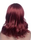 Fashion Red Wine Short Curly Hair Chemical Fiber Wig Headgear