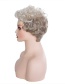 Fashion Photo Color Short Curly Hair Fluffy Wig Headgear