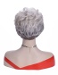 Fashion 0108-a Short Hair Micro-curly Wig Headgear