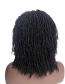 Fashion Photo Color African Dirty Braid Wig Headgear
