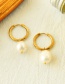 Fashion Golden-2 Titanium Steel Pearl Earrings
