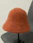 Fashion Bean Paste Plush Lamb Wool Fisherman Hat