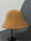 Fashion Bean Paste Plush Lamb Wool Fisherman Hat