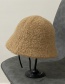 Fashion Brown Plush Lamb Wool Fisherman Hat