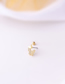 Fashion Gold 6# 20g Stainless Steel Screw Rod Piercing Earrings