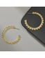 Fashion Gold Color Titanium Steel Petal Earrings