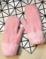 Fashion Light Gray Rabbit Plush Full Finger Gloves