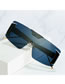Fashion Brown Frame Gray Powder Tablets One-piece Large Frame Sunglasses