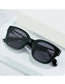 Fashion Leopard Frame Whole Tea Slices Geometric Square Sunglasses