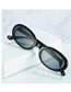 Fashion Flower Box Tea Slices Oval Small Frame Sunglasses