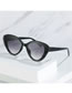 Fashion White Frame Double Gray Sheet Pc Cat Eye Sunglasses