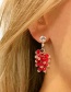 Fashion Color Mixing Imitation Crystal Grape Bunch Geometric Earrings