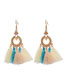 Fashion Nude Geometric Ring Hanging Beads And Tassel Earrings