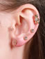 Fashion Blue Bear Rose Gold Color Gold-plated Copper And Zirconium Bear Pierced Earrings