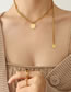 Fashion X904-gold Coloren Necklace-35+17cm Titanium Steel Gold Plated Round Necklace