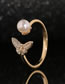 Fashion Gold Copper Diamond Butterfly Pearl Open Ring