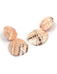 Fashion Rose Gold Alloy Geometric Texture Round Ear Studs