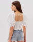 Fashion White Lace Embroidery Tie Puff Sleeve Top
