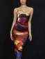 Fashion Photo Color Printed Pleated Strap Dress