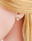 Fashion Leaves Copper Diamond Leaf Stud Earrings