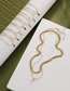 Fashion White Single Snake Bone Bronze Rectangular Zirconia Snake Bone Chain Necklace