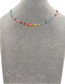 Fashion Mi-n200071a Colorful Rice Bead Braided Flower Necklace