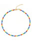 Fashion Qt-n200016a Colorful Rice Beads Beaded Necklace