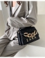 Fashion Brown Spiraea Lingge Chain Messenger Bag