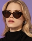 Fashion C03 Beige Pc Cat's Eye Sunglasses
