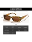 Fashion C02 Leopard Small Square Frame Sunglasses