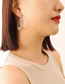 Fashion Golden Small Earrings-3.5cm Titanium Steel Gold-plated Elliptical Earrings
