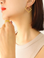 Fashion Rose Golden Earrings Titanium Steel Diamond Earrings