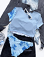 Fashion Blue Nylon Print Panel Split Swimsuit
