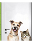 Fashion 40*50cm Pvc Self-adhesive 3d Simulation Cat Dog Wall Sticker