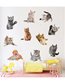 Fashion Ksy-96i Pvc Cat Wall Sticker