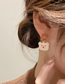 Fashion Khaki Alloy Asymmetric Bear Check Stud Earrings