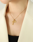 Fashion Rose Gold Color Titanium Oval Cross Necklace