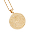 Fashion 12# Pisces Bronze Zirconium 12 Constellation Necklace
