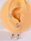 Fashion 6 Flowers-g23 Titanium Rod:1.2*10mm Titanium Steel Moon Flower Snake Leaf Geometric Piercing Stud Earrings