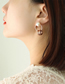 Fashion Rose Gold Titanium Gold Plated Double Hoop Geometric Stud Earrings