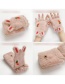 Fashion Gray Cats Claw [5-12 Years Old] Plush Thickened Clamshell Fruit Embroidery Children Gloves